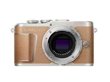【中古】OLYMPUS 銀鏡受け答え一眼 PEN E-PL9 上半身 赤銅色