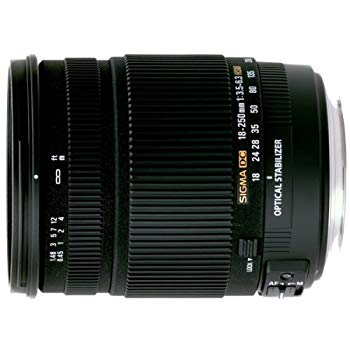 【中古】(非常に良い)シグマ 18-250mm F3.5-6.3 DC OS HSM PA ペンタックス用
