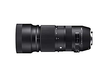 【中古】SIGMA 100-400mm F5-6.3 DG OS HSM | Contemporary C017 | Canon EFマウント | Full-Size/Large-Format