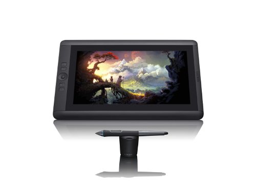 【中古】(人並み外れたに好いたらしい)Cintiq 13固定ディスク 【旧型番】2013年4月青写真 DTK-1300/K0