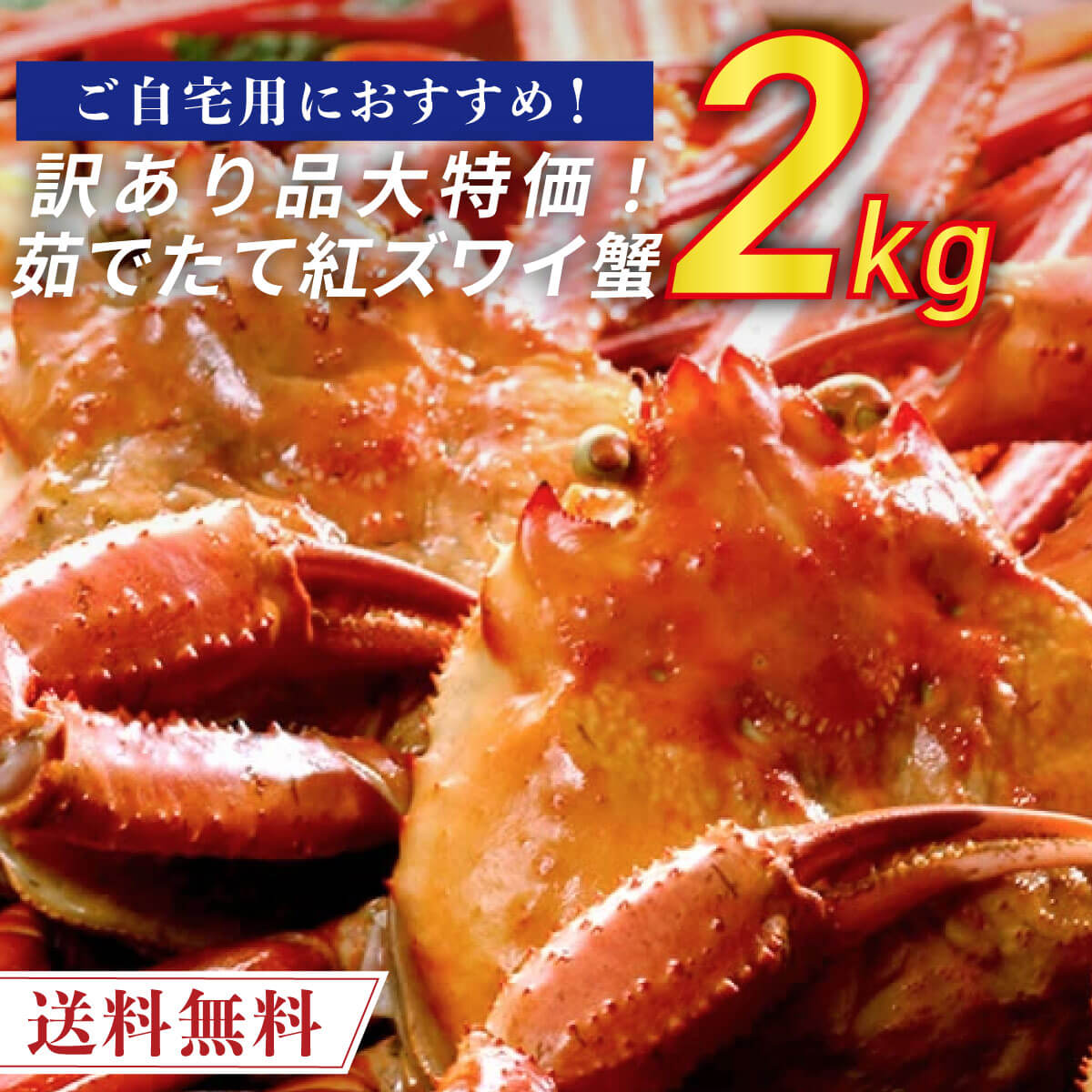 【送料無料/新品】 202208_10000578_02.jpg 生鮮魚介類・水産加工品