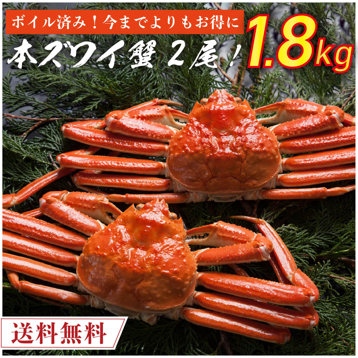 楽天市場】ボイル済み 本ずわい蟹 2尾 刺身用甘エビ 1kg 【送料