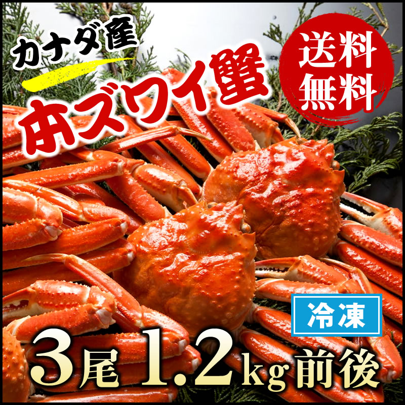 カナダ産 本ズワイ蟹 3尾（総量1.1kg前後）【濃厚な蟹みそ】【ギフト 贈答】【かに 蟹 カニ】