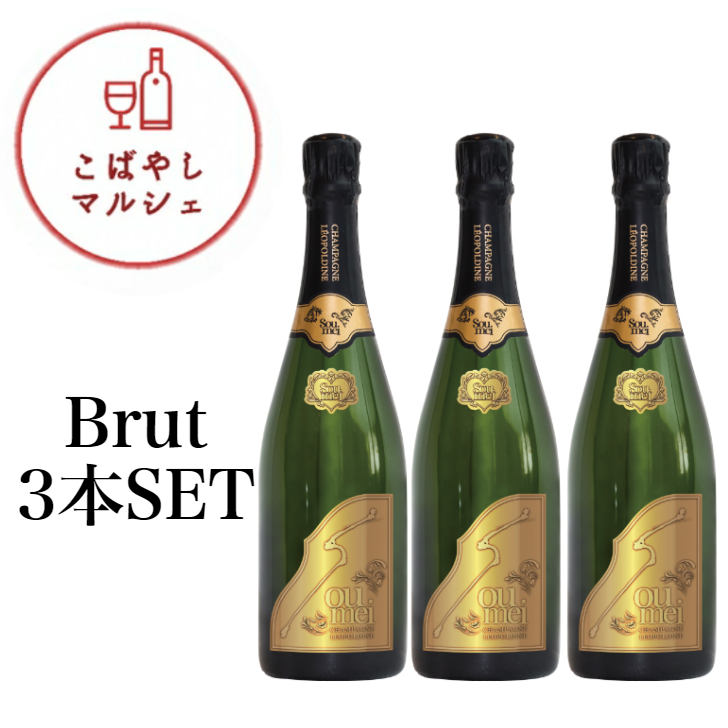 格安SALEスタート】 正規品 SOUMEIソウメイブリュット 750ml×3本