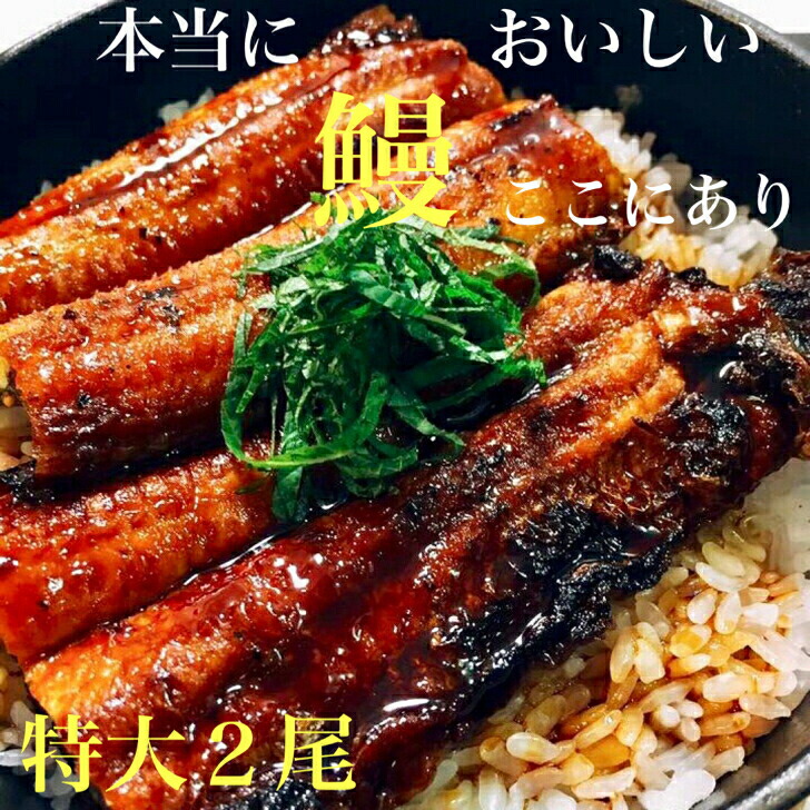 TV放送記念企画<br>頑固おやじのこだわり蒲焼きうなぎ特大２尾