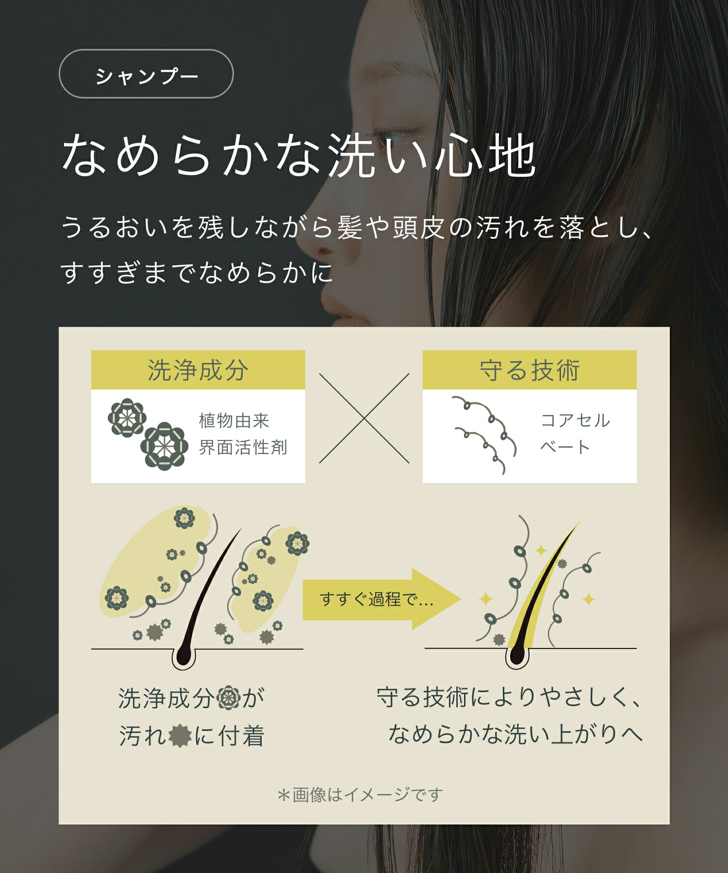 パロサントサンダルウッドローズウッドレブリン酸ケラチントステア酸熱トリートメントダメージケアリラックスBOTANISTぼたにすとボタニストシャンプートリートメントshampootreatmentしゃんぷーとりーとめんとコンディショナーリンスぼたにかるボタニカル