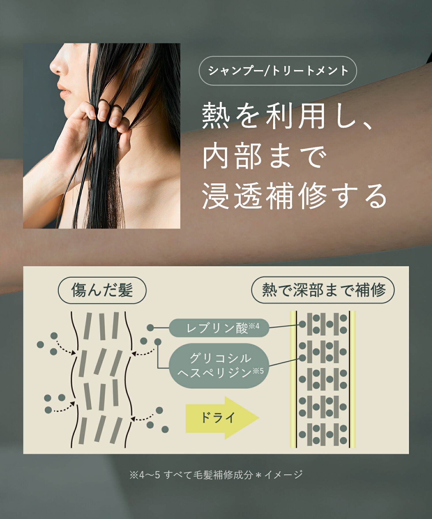 パロサントサンダルウッドローズウッドレブリン酸ケラチントステア酸熱トリートメントダメージケアリラックスBOTANISTぼたにすとボタニストシャンプートリートメントshampootreatmentしゃんぷーとりーとめんとコンディショナーリンスぼたにかるボタニカル