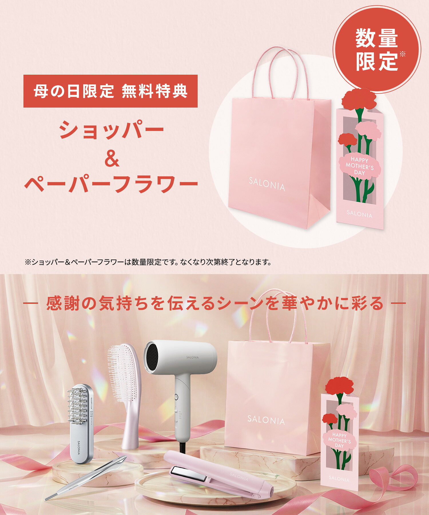 公式店》【 SALONIA スピーディー イオンドライヤー】楽天1位☆累計400 