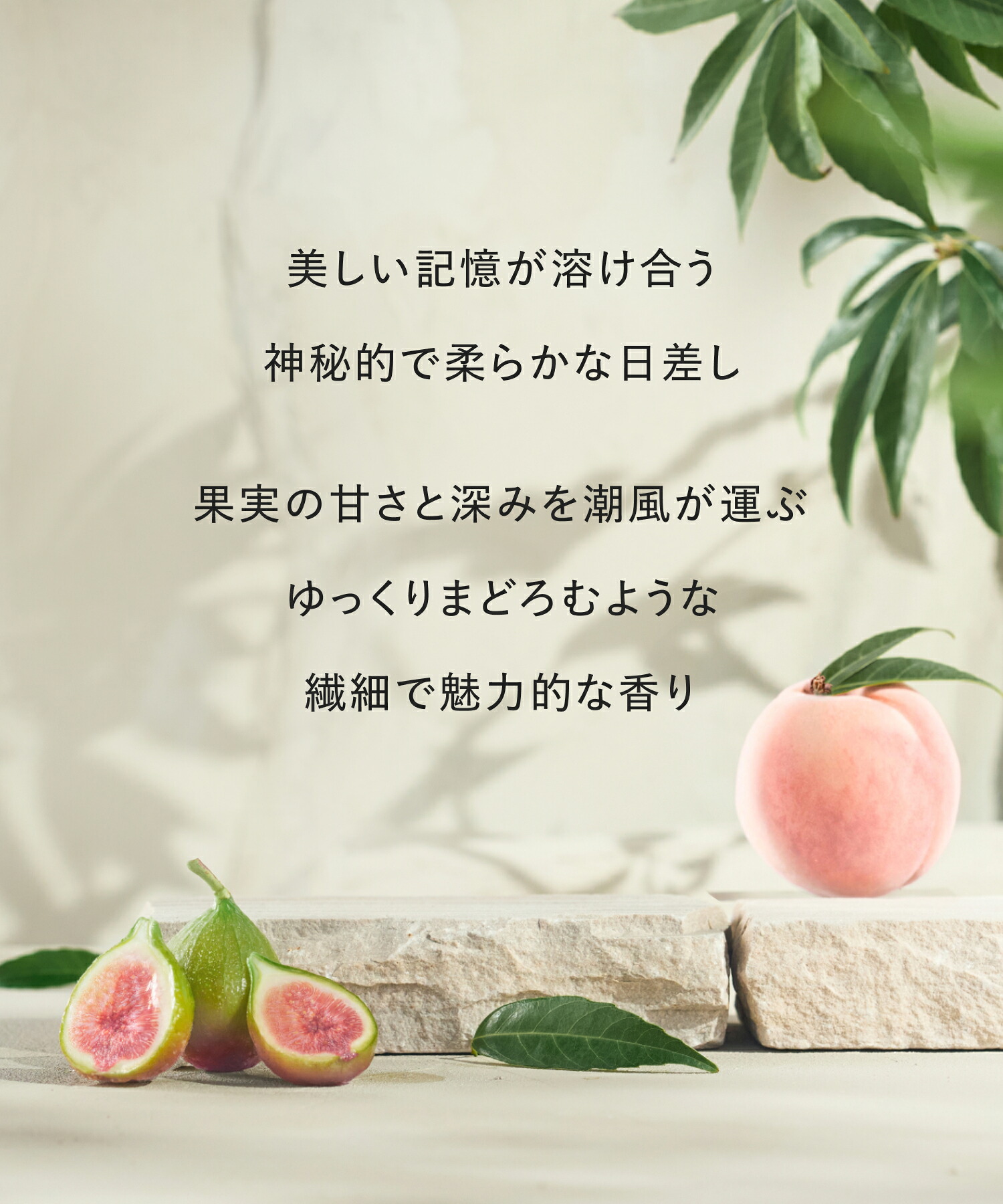 柔軟剤 ReWEAR リウェア 再生柔軟剤 チェリーヴィンテージ 