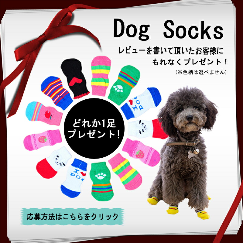 市場 ドッグウエア ドッグウェア 柄 小花柄 ペット 中型 犬 ペットウェア 小花 フリル 猫 服 夏服 夏用 犬服 小型 フラワー