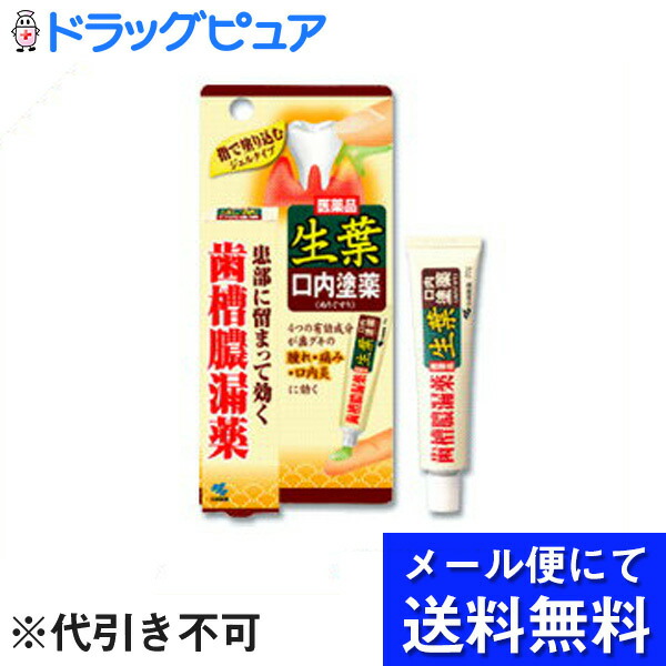 小林製薬 生葉口内塗薬 20g×3個セット(メール便は発送から10日前後がお届け目安です)