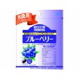 【3％OFFクーポン 4/14 20:00～4/17 09:59迄】【送料無料】【お任せおまけ付き♪】 目にいいおまけ付き！小林製薬株式会社 ブルーベリー お徳用（350mg×60粒）×2個セット 【北海道・沖縄は別途送料必要】【△】
