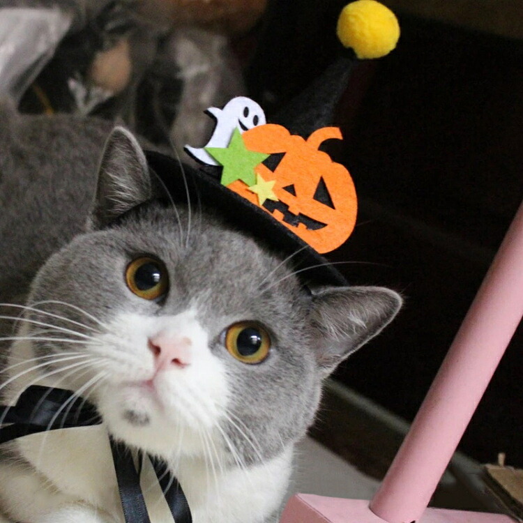 市場 送料無料 魔女の帽子 コスプレ カボチャ ジャックオーランタン 猫 犬 とんがり帽子 ハロウィン ペット用