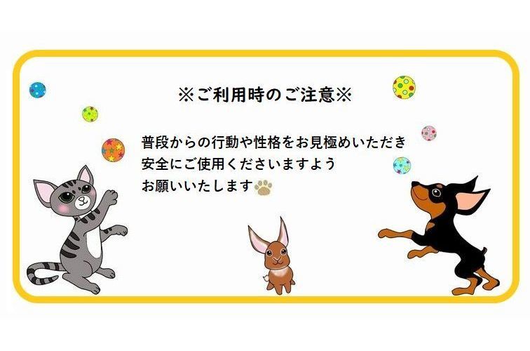 市場 送料無料 鳥 オウム はしご ペット用おもちゃ 鳥用おもちゃ インコ ペット用品 止まり木 小鳥