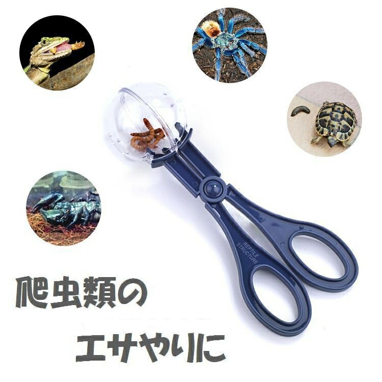 楽天市場】送料無料 ペット用 爬虫類用 ハサミ型ピンセット 餌やり 餌