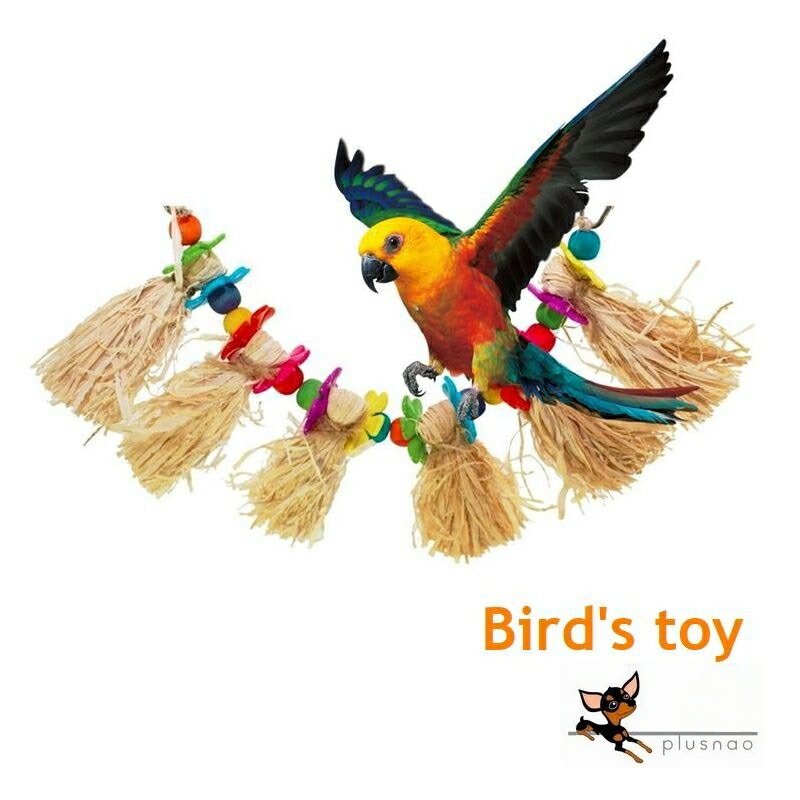 楽天市場】送料無料 鳥用おもちゃ バードトイ 吊り下げ式 ブランコ 紐
