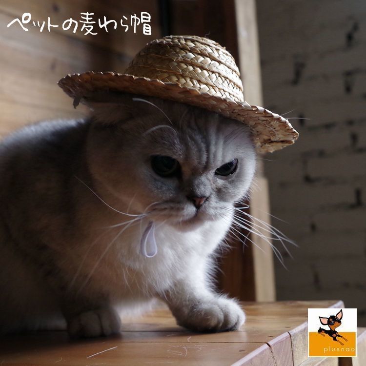送料無料 ペット用品 かぶりもの Cat 麦わら帽子 犬 帽子 イヌ ネコ 猫ハット 紫外線対策 コスプレ