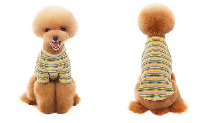 公式ショップ 送料無料 ペットウェア カットソー Tシャツ 犬 猫 ドッグ キャット 小型犬 中型犬 ペット用品 ペットグッズ 袖あり ボーダー マルチボーダー しましま シンプル おしゃれ かっこいい かわいい カジュアル レトロカラー お出かけ 部屋着 黄 緑 ピ Everearth 公式ショップ 送料無料 ペットウェア カットソー Tシャツ 犬 猫 ドッグ キャット 小型犬 中型犬 ペット用品 ペットグッズ 袖あり ボーダー マルチボーダー しましま シンプル おしゃれ かっこいい かわいい カジュアル レトロカラー お出かけ 部屋着 黄 緑 ピ Everearth