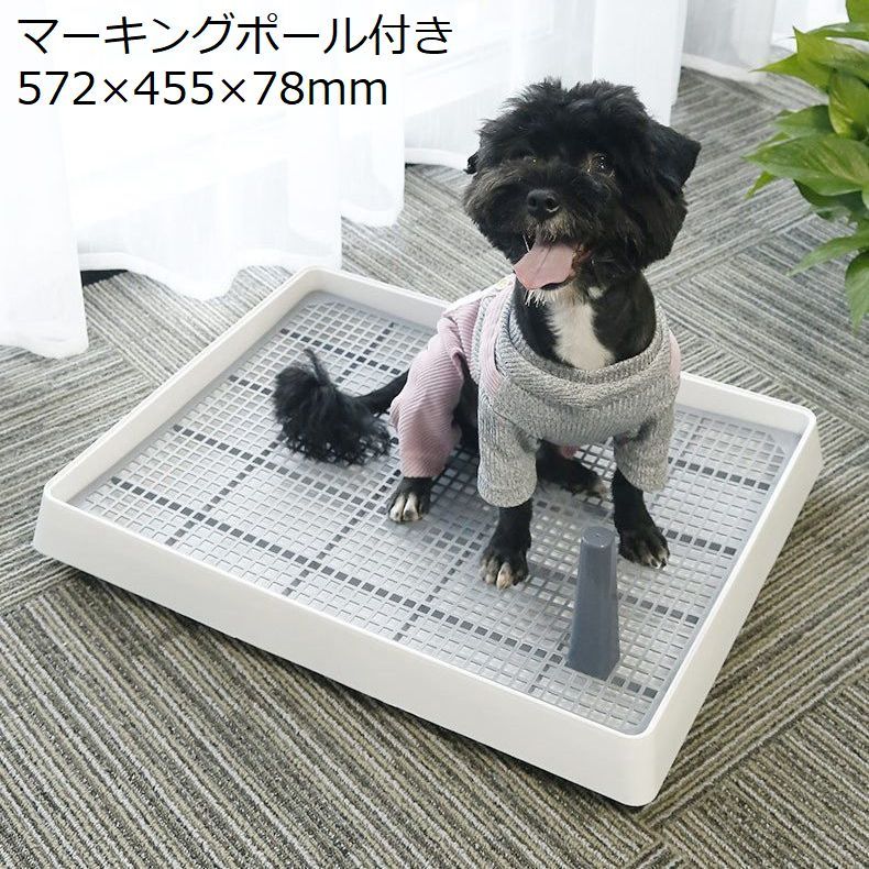 送料無料 犬用トイレ トイレトレー 小型犬 中型犬 ペット トレーニング しつけ メッシュ マーキングポール付き 足上げ お掃除簡単 飛び散り防止 組み立て簡単 スノコ ホワイト 北欧風 シンプル いぬ イヌ ドッグ Dog ギフト 贈り物 話題の行列 送料無料 犬用トイレ トイレトレー 小型犬 中型犬 ペット トレーニング しつけ メッシュ マーキングポール付き 足上げ お掃除簡単 飛び散り防止 組み立て簡単 スノコ ホワイト 北欧風 シンプル いぬ イヌ ドッグ Dog ギフト 贈り物 話題の行列