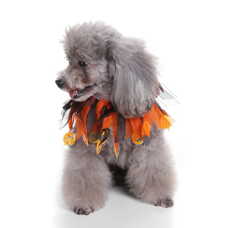 ペット用コスチューム 犬 首かざり 襟かざり かぶり物 コスプレ 仮装 ハロウィン 猫 クリスマス 帽子