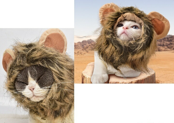 市場 送料無料 ライオン コスプレ おもしろ コスチューム 猫 ぼうし かぶり物 仮装 可愛い たてがみ マジックテープ 犬 ペット用帽子