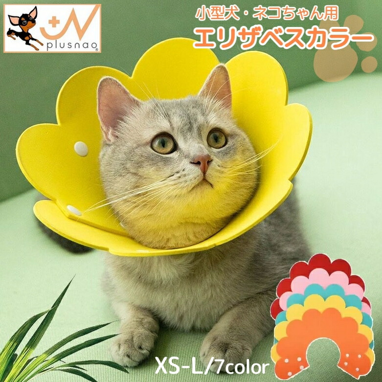 楽天市場】送料無料 エリザベスカラー 猫用 犬用 ペット用品 ペットグッズ ケア用品 傷舐め防止 ひっかき防止 傷口保護 術後 介護 皮膚病 花  フラワー かわいい キャット ドッグ 犬 小型犬 : dolcissimo