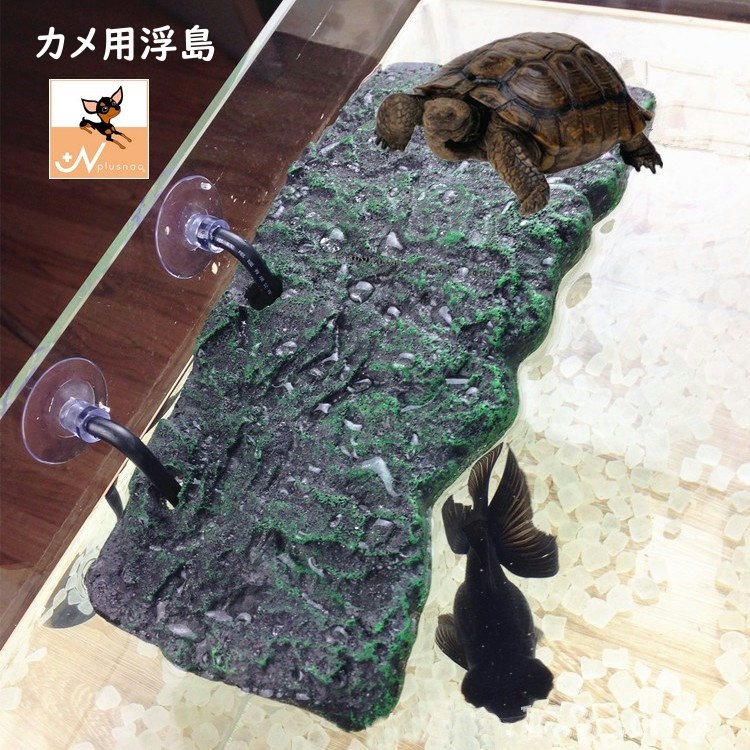縁起の良い 亀の置台 楽天市場】送料無料 浮島 亀用 トカゲ 水槽用レイアウト 両生類 爬虫類
