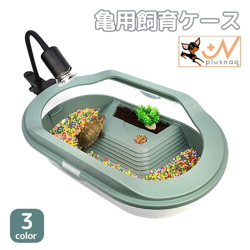 かめさん　SPS飼育セット pw-88246.jpg