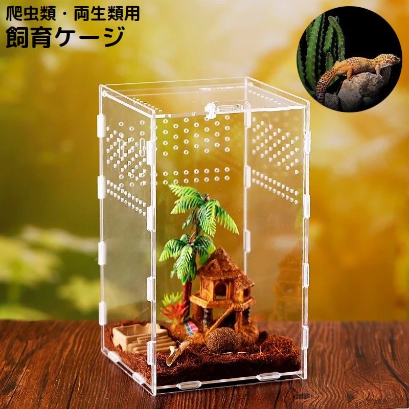 楽天市場】送料無料 飼育ケージ 飼育ケース 爬虫類 両生類 昆虫