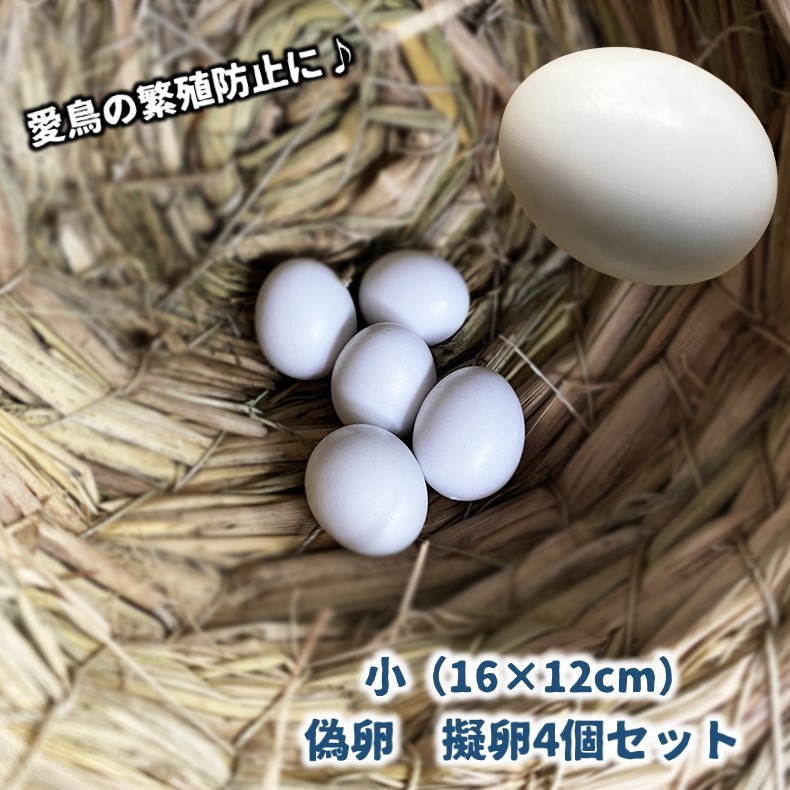 卵 楽天市場】送料無料 偽卵 擬卵 4個セット 12×16mm ダミー卵