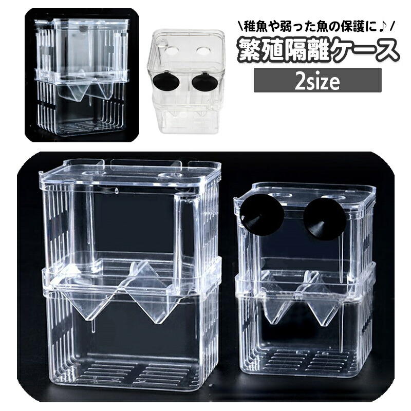 ヘラブナ　玉受け　魚光作 専用ケース付き BAKKNEL】 折り畳みサングラス専用ケース BN-FSC001-BK