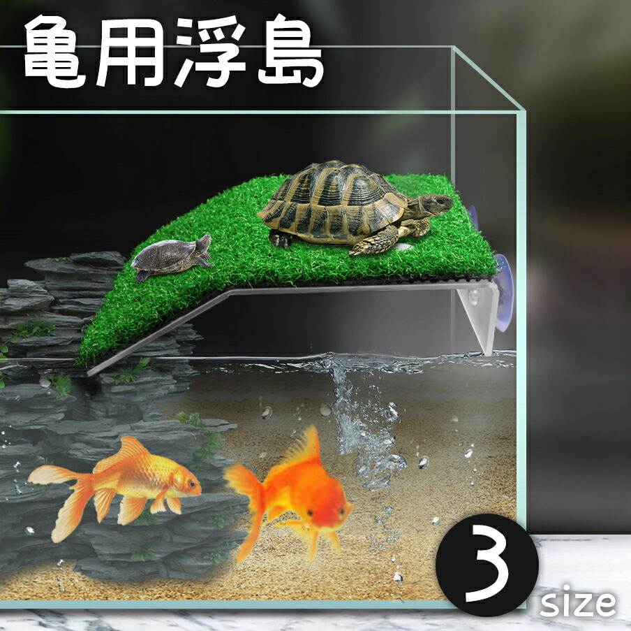 楽天市場】送料無料 浮島 亀 カメ ペット用 爬虫類 両生類 人工