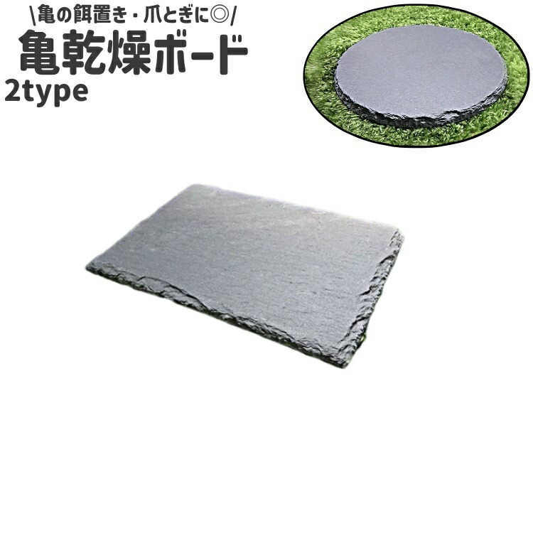 楽天市場】『GEX エキゾテラ ヒーティングトップ L』と『GEX