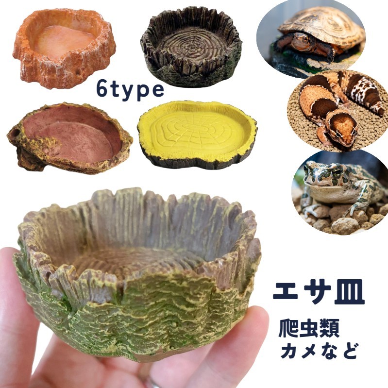 楽天市場】送料無料 エサ皿 爬虫類 トカゲ カエル ペット用食器 エサ