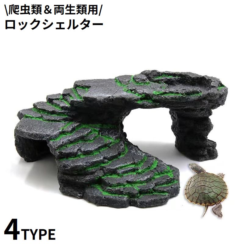 中型爬虫類用ケージ 岩の背景付き 小物付き 楽天市場】爬虫類 ケージ 折り畳み式 飼育ケージ 爬虫類 飼育