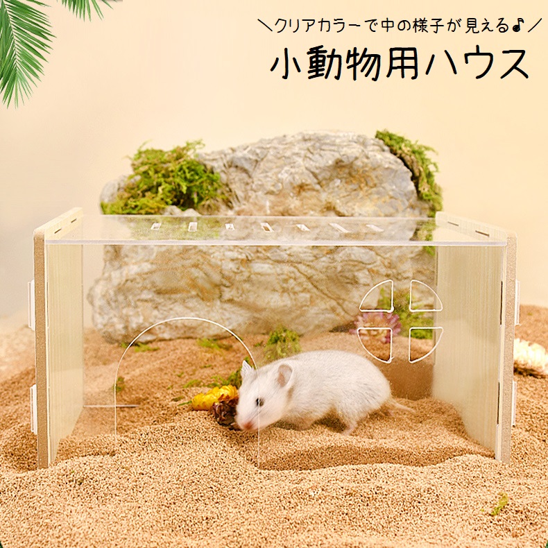 ハムスターハウス 楽天市場】【すぐ届く】ハムスター ハウス ナチュラル かわいい