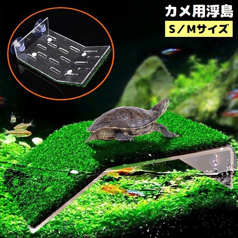 楽天市場】送料無料 爬虫類用 両生類用 浮島 日なたぼっこ台 テラス S