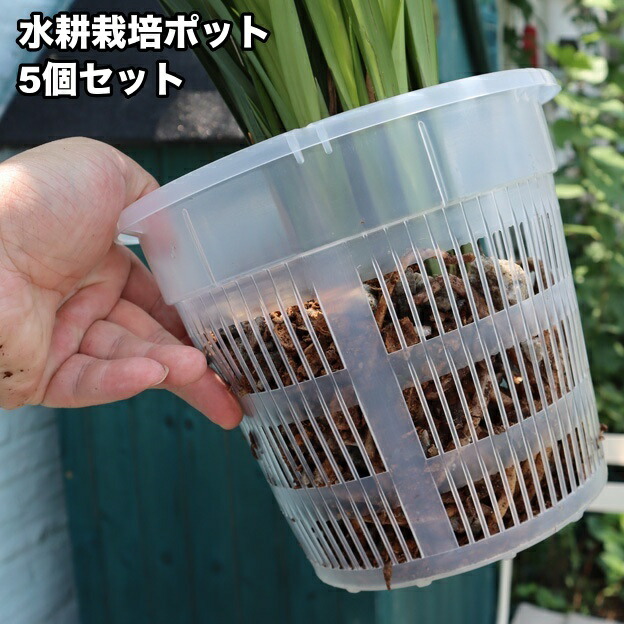 鉢物栽培技術マニュアル 楽天市場】送料無料 水耕栽培ポット 育苗ポット 5個セット