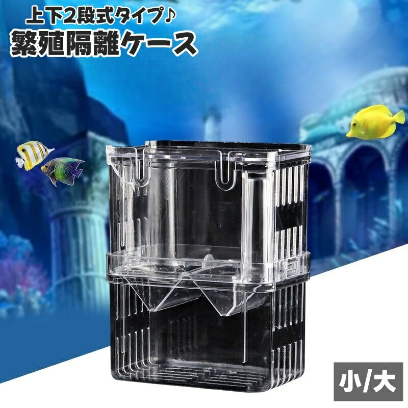 楽天市場】送料無料 繁殖隔離ケース 産卵ケース 隔離ケース 2段