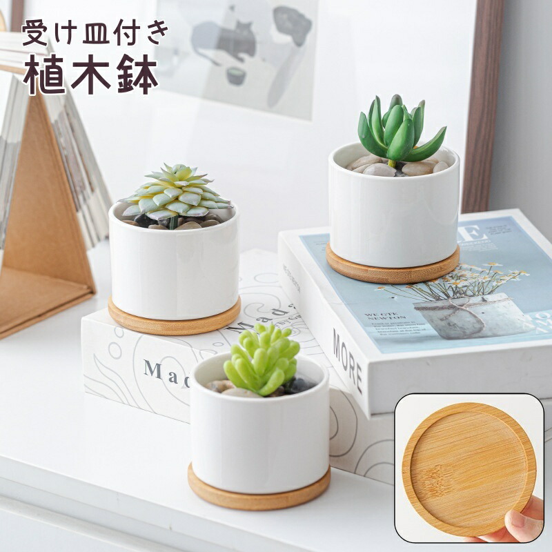 sachiさま　植木鉢おまとめセット５個(専用品) 71j8fZ6+1-L.jpg