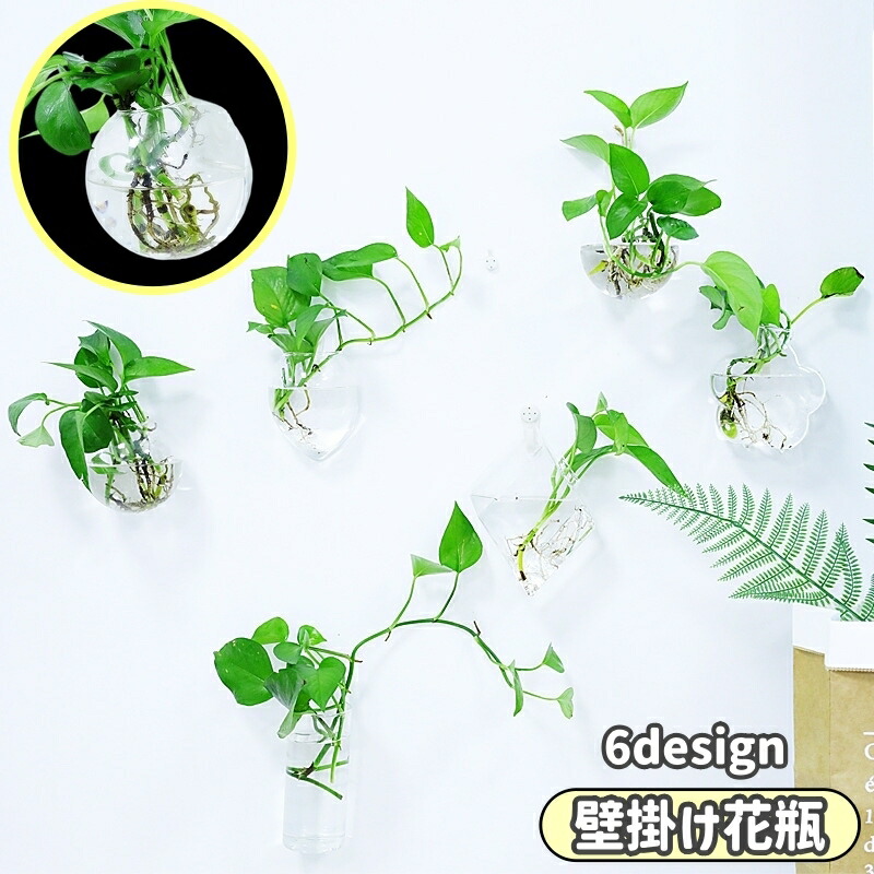 楽天市場】送料無料 壁掛け花瓶 水耕栽培 花瓶 ガラス 吊り下げ