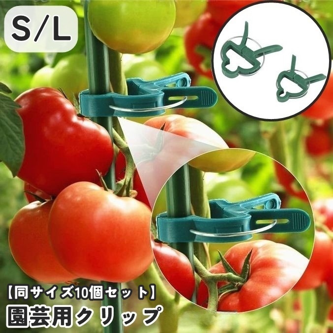 楽天市場】送料無料 園芸用クリップ 誘引クリップ 同サイズ10個セット