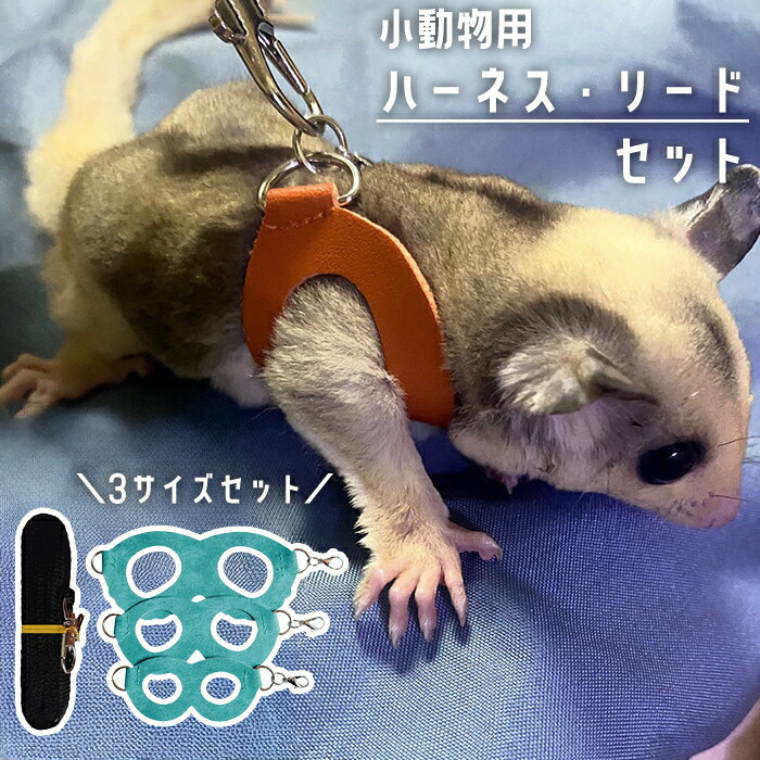 りー　　リクエスト 3点 まとめ商品 楽天市場】送料無料 小動物用ハーネス リード 3サイズセット