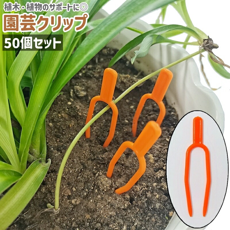 楽天市場】送料無料 園芸クリップ 50個セット 50個入り ガーデン