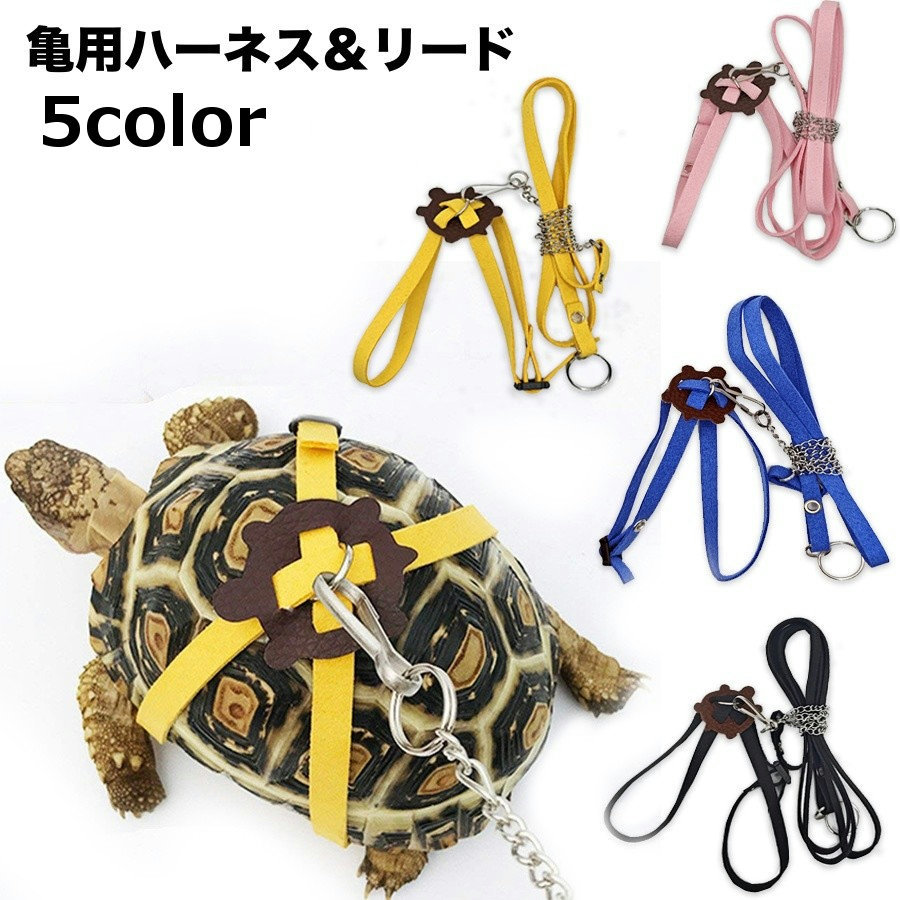 【亀 】ページ　　リクエスト商品のため Amazon.co.jp: 亀のハーネスとリード - 亀牽引ロープ,小型ペット