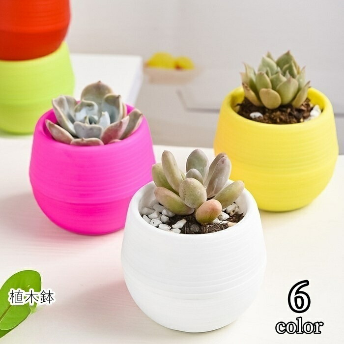 フラワー・ガーデニング shooooo 楽天市場】【フラワーガード10個セット No.404-2】 GREENGARDEN