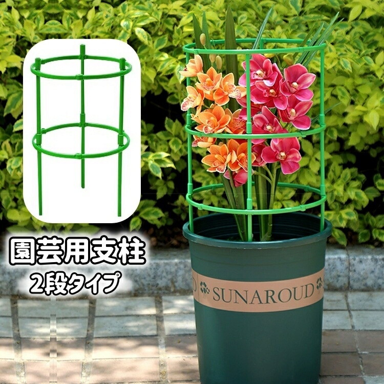 PLANT PLANT リング Amazon.com : 14