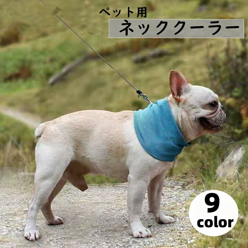 C&K マフラータオル しいけさん バッグ ポシェット バンダナ グッズ 富士山マフラータオル - FUJISAN SHOP -223shop-｜富士山グッズ