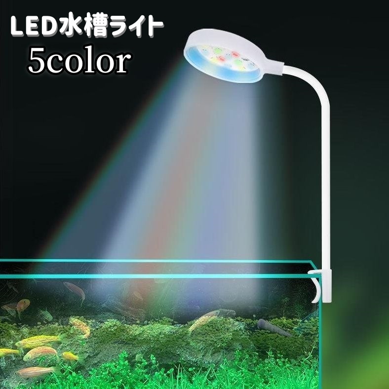 ガラス水槽 小型 水草・岩レイアウト LEDライト付き 水槽用照明の数は水槽レイアウトで決める！LED照明の適正数を
