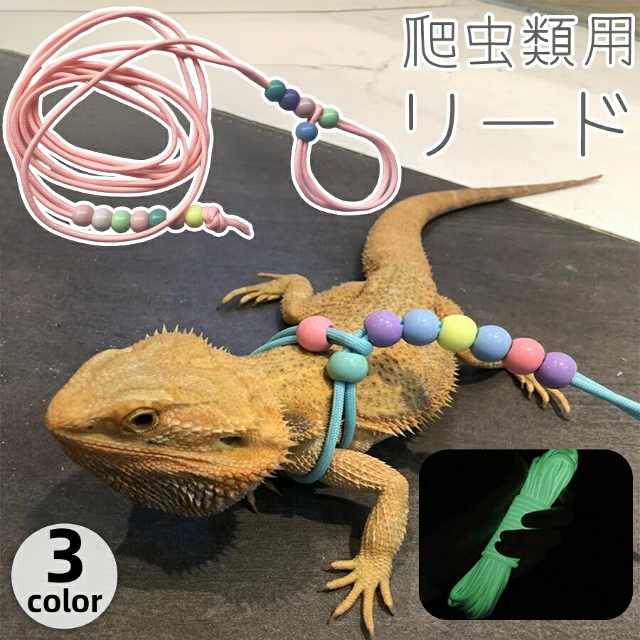 楽天市場】送料無料 爬虫類用リード ハーネス トカゲ 蜥蜴 蓄光